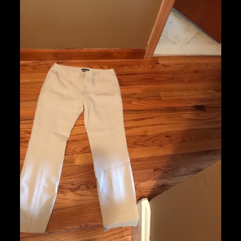 Express dress pants
